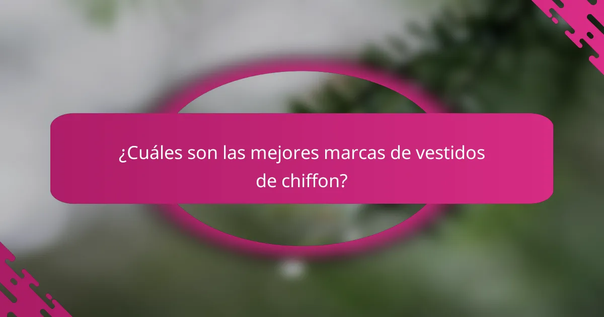¿Cuáles son las mejores marcas de vestidos de chiffon?
